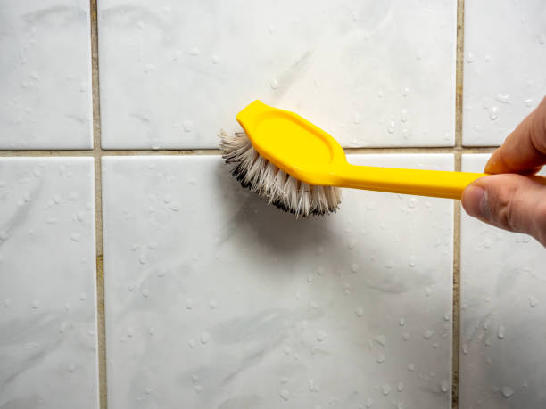 Best Certified Mold Removal  in Pigeon, MI