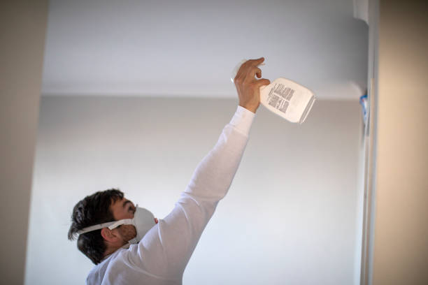 Best Attic Mold Removal  in Pigeon, MI