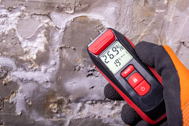Best Toxic Mold Removal  in Pigeon, MI