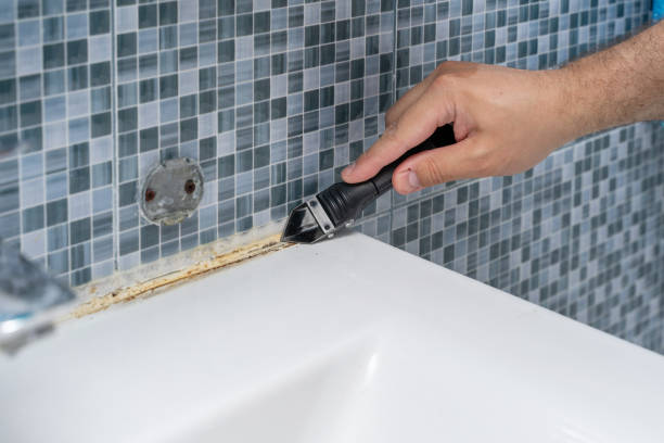 Best Fast Mold Removal  in Pigeon, MI