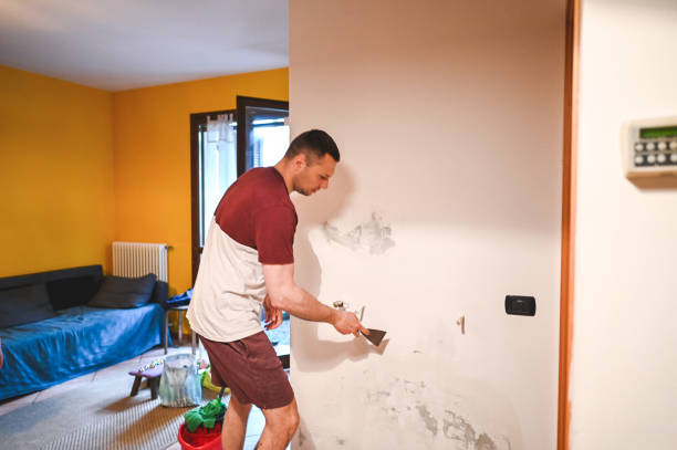 Best Residential Mold Removal  in Pigeon, MI