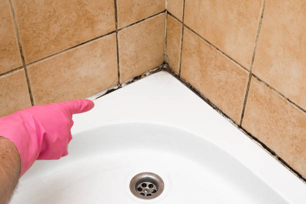 Best Mold Testing  in Pigeon, MI